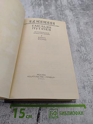 Емельян Пугачев. Историческое повествование. Книга вторая