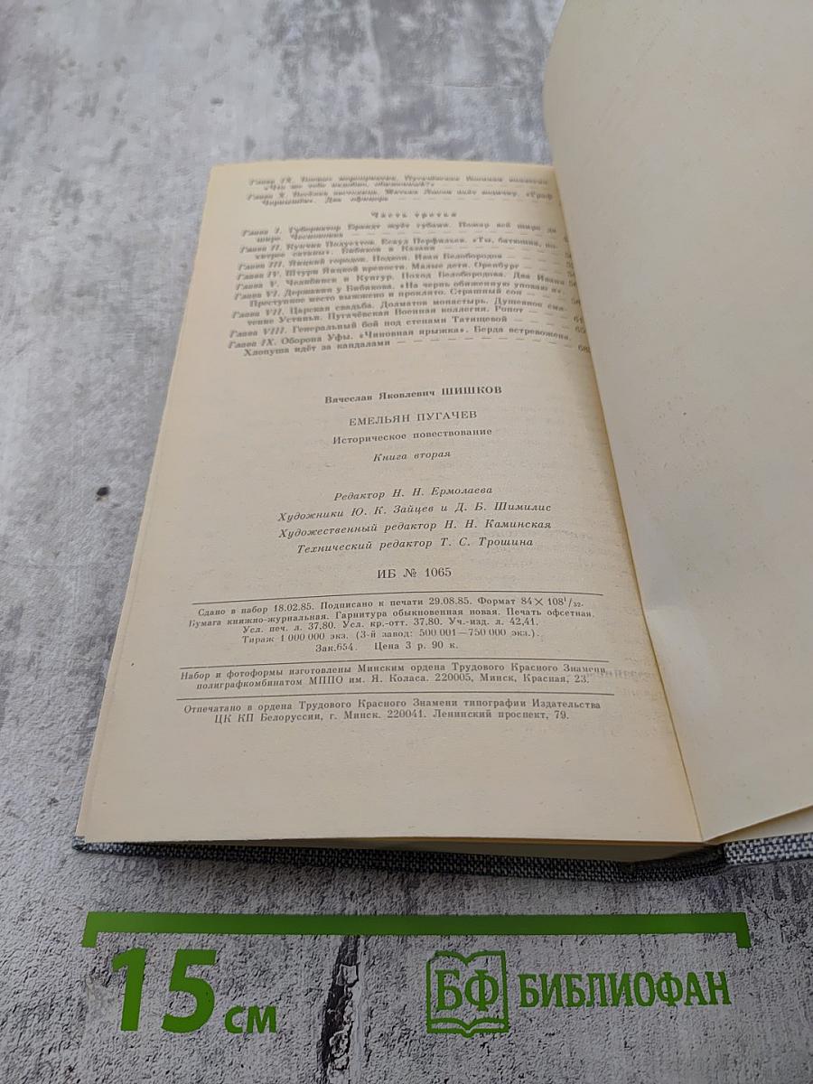 Емельян Пугачев. Историческое повествование. Книга вторая