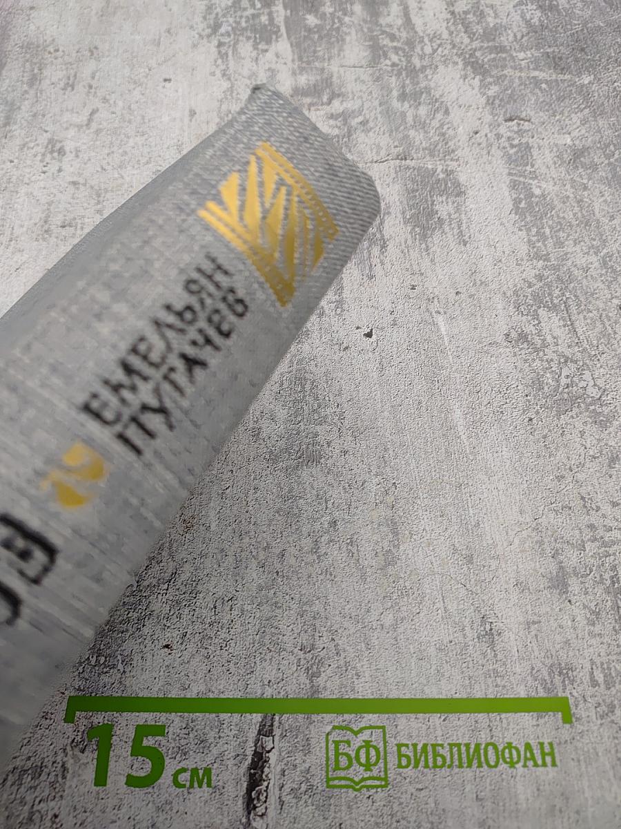 Емельян Пугачев. Историческое повествование. Книга вторая