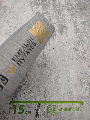 Емельян Пугачев. Историческое повествование. Книга вторая