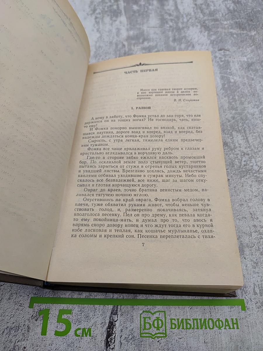 Бунтарь Мамура. Книга первая. Часть первая. Том 1