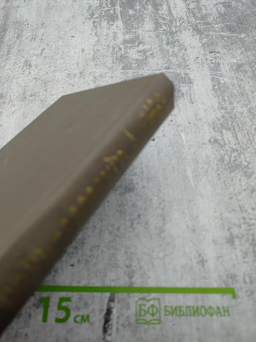 Бунтарь Мамура. Книга первая. Часть первая. Том 1