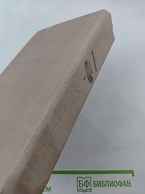 Граф Монте-Кристо. Том I