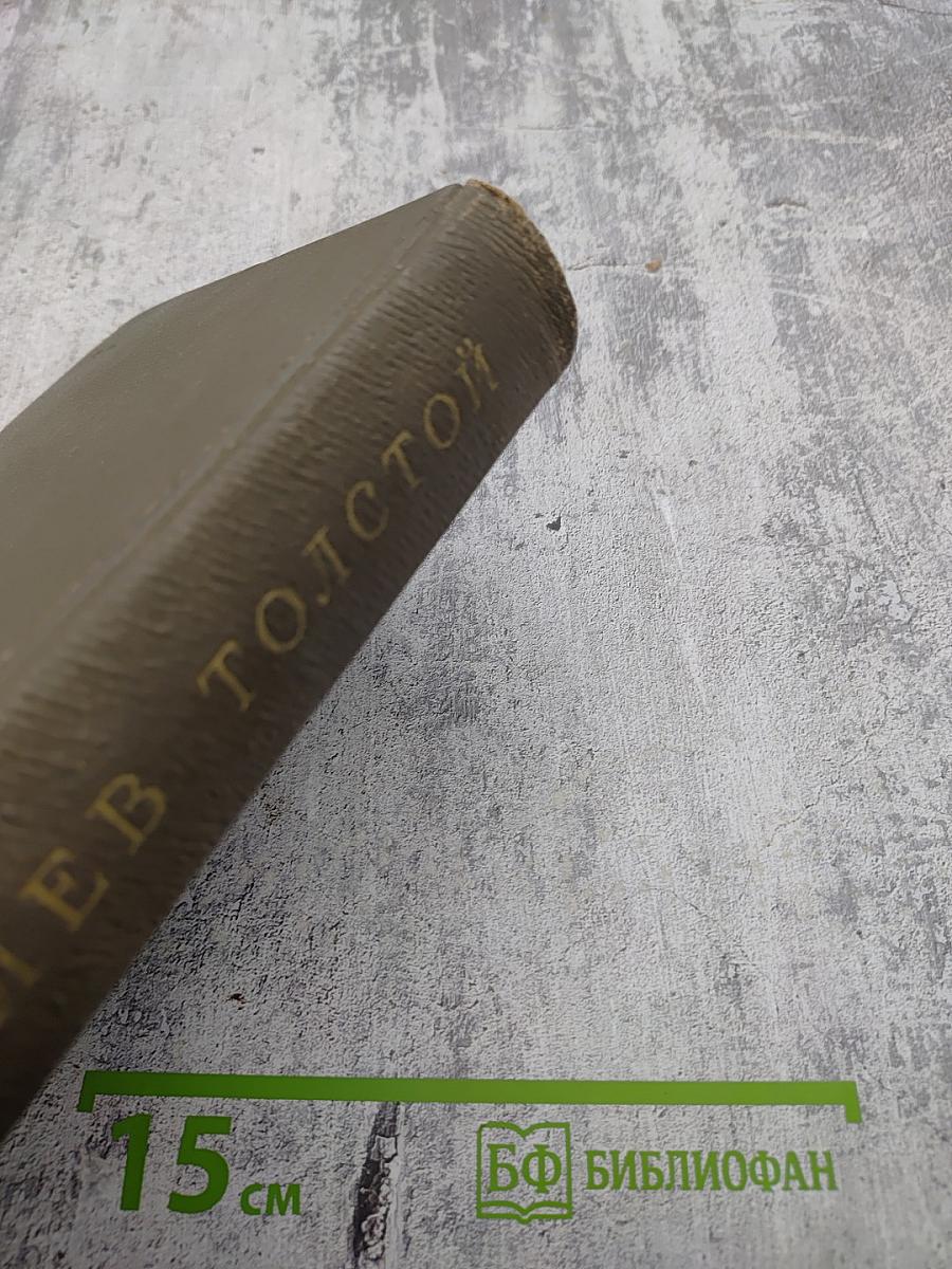 Собрание сочинений. Том двадцатый. Дневники 1895-1910 гг.