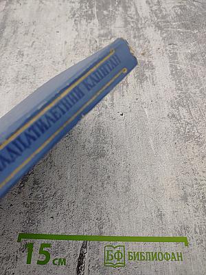 Пятнадцатилетний капитан