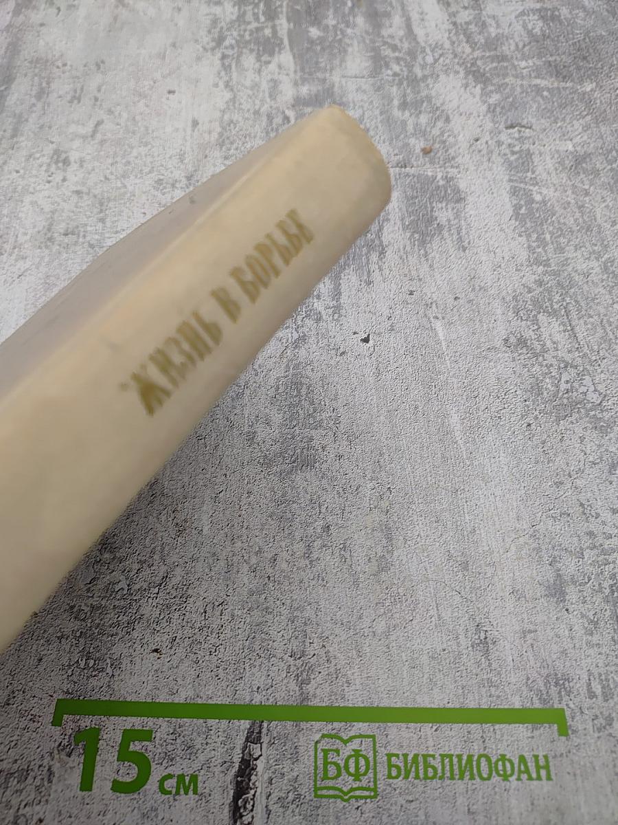 Жизнь в борьбе