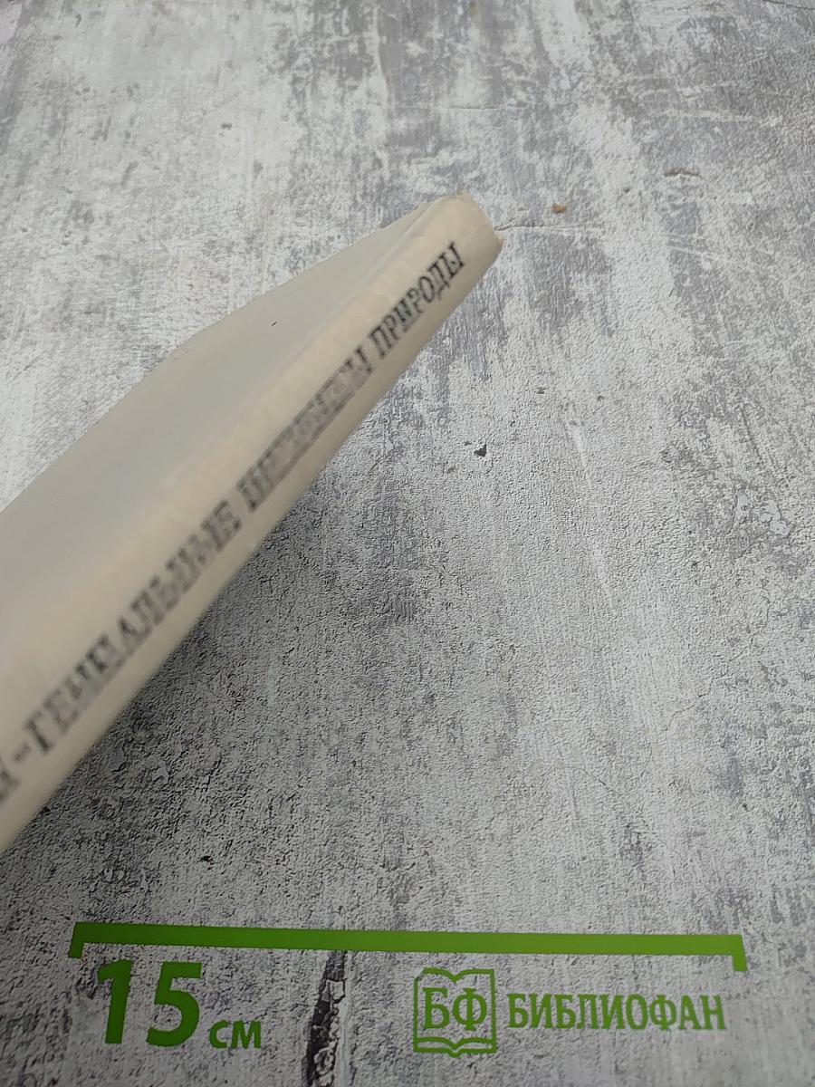 Растения - гениальные инженеры природы