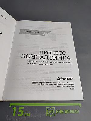 Процесс консалтинга. Построение взаимовыгодных отношений «клиент—консультант»