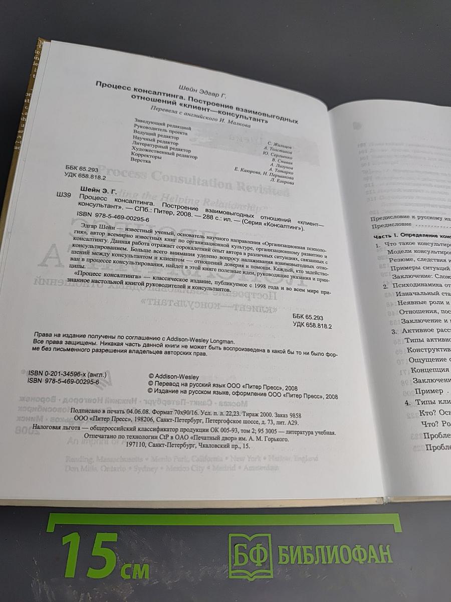 Процесс консалтинга. Построение взаимовыгодных отношений «клиент—консультант»