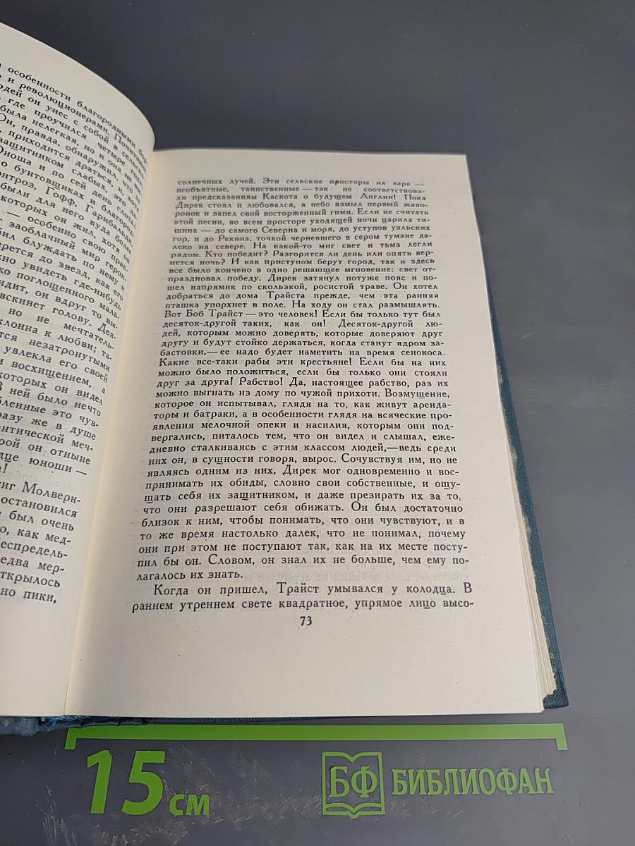 Джон Голсуорси. Собрание сочинений в 16 томах. Том 8. Фриленды