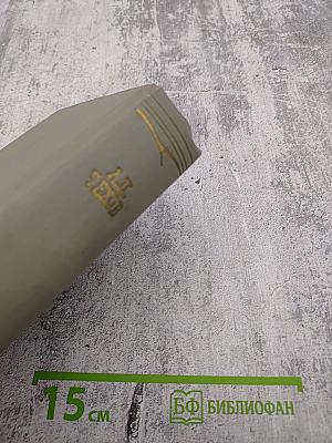 Собрание сочинений А.П. Чехова. Том двенадцатый: Письма 1899-1904