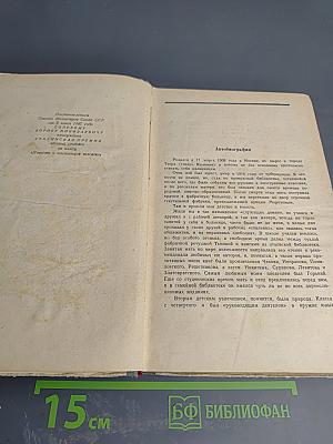 Повесть о настоящем человеке