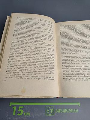 Повесть о настоящем человеке
