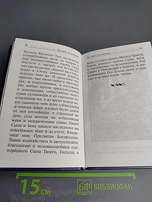 Пресвятая Богородице, спаси нас. 101 молитва Божией Матери