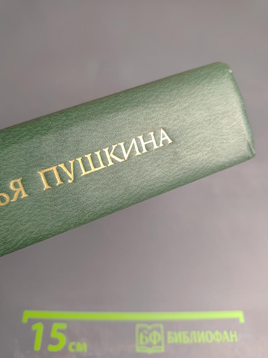 Друзья Пушкина. Том II