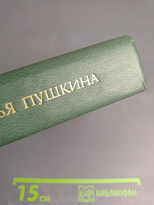 Друзья Пушкина. Том II