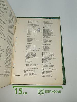 Мир растений