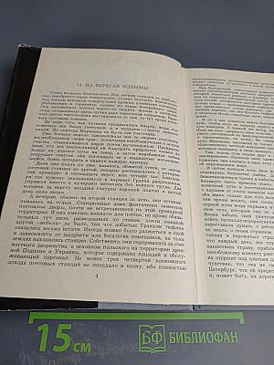 Марианна в огненном венке. Книга шестая.
