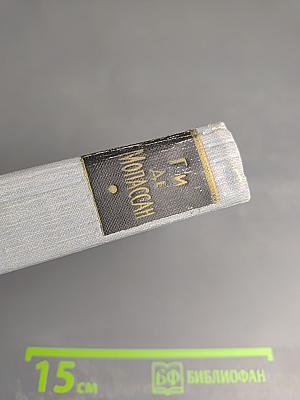 Полное собрание сочинений в двенадцати томах. Том 4. Под солнцем