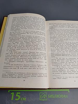 Пертская красавица, или Валентинов день