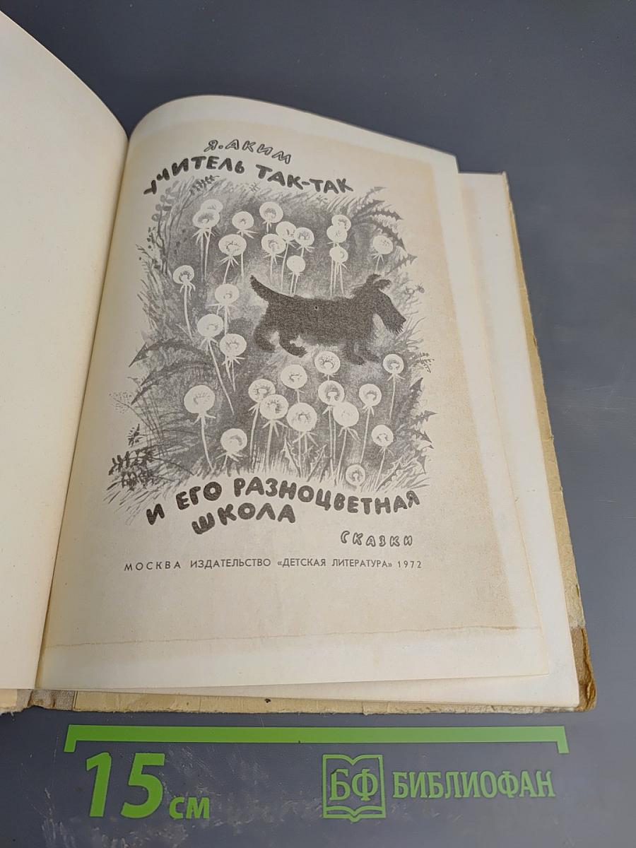 Учитель так-так и его разноцветная школа