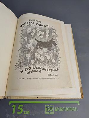 Учитель так-так и его разноцветная школа
