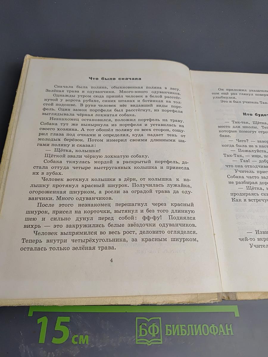 Учитель так-так и его разноцветная школа