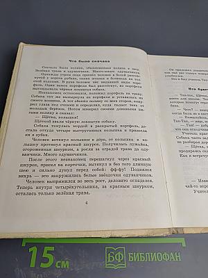 Учитель так-так и его разноцветная школа