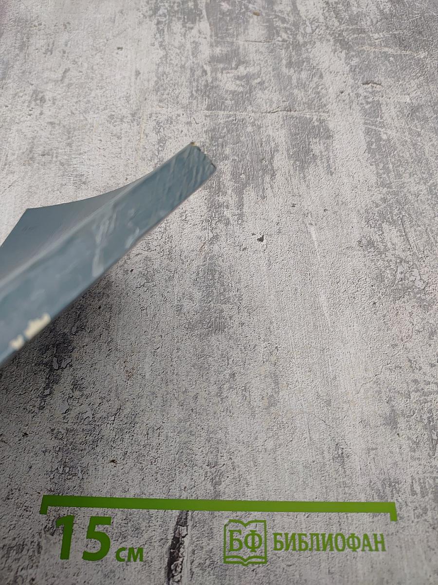 Фицрой - капитан "Бигля"