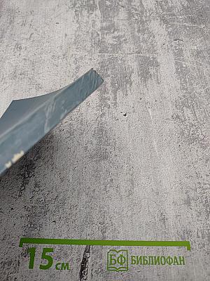 Фицрой - капитан "Бигля"