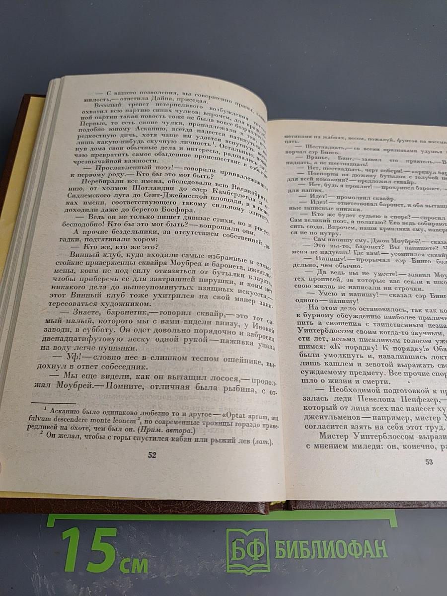 Сент-Ронанские воды