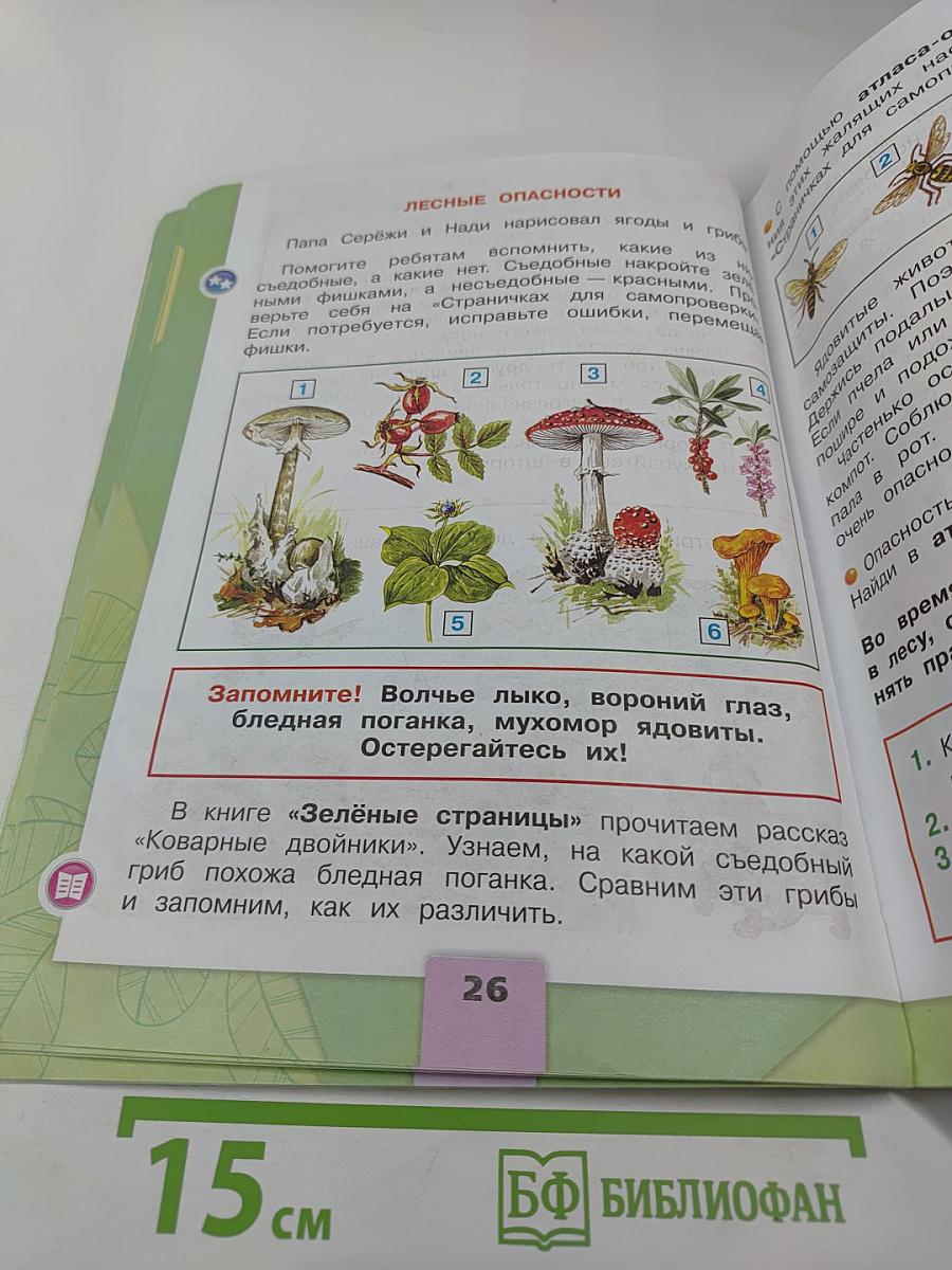 Окружающий мир, 2 класс, Часть 2