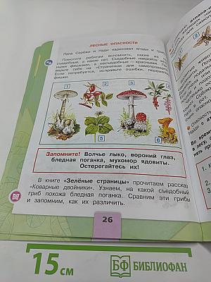 Окружающий мир, 2 класс, Часть 2