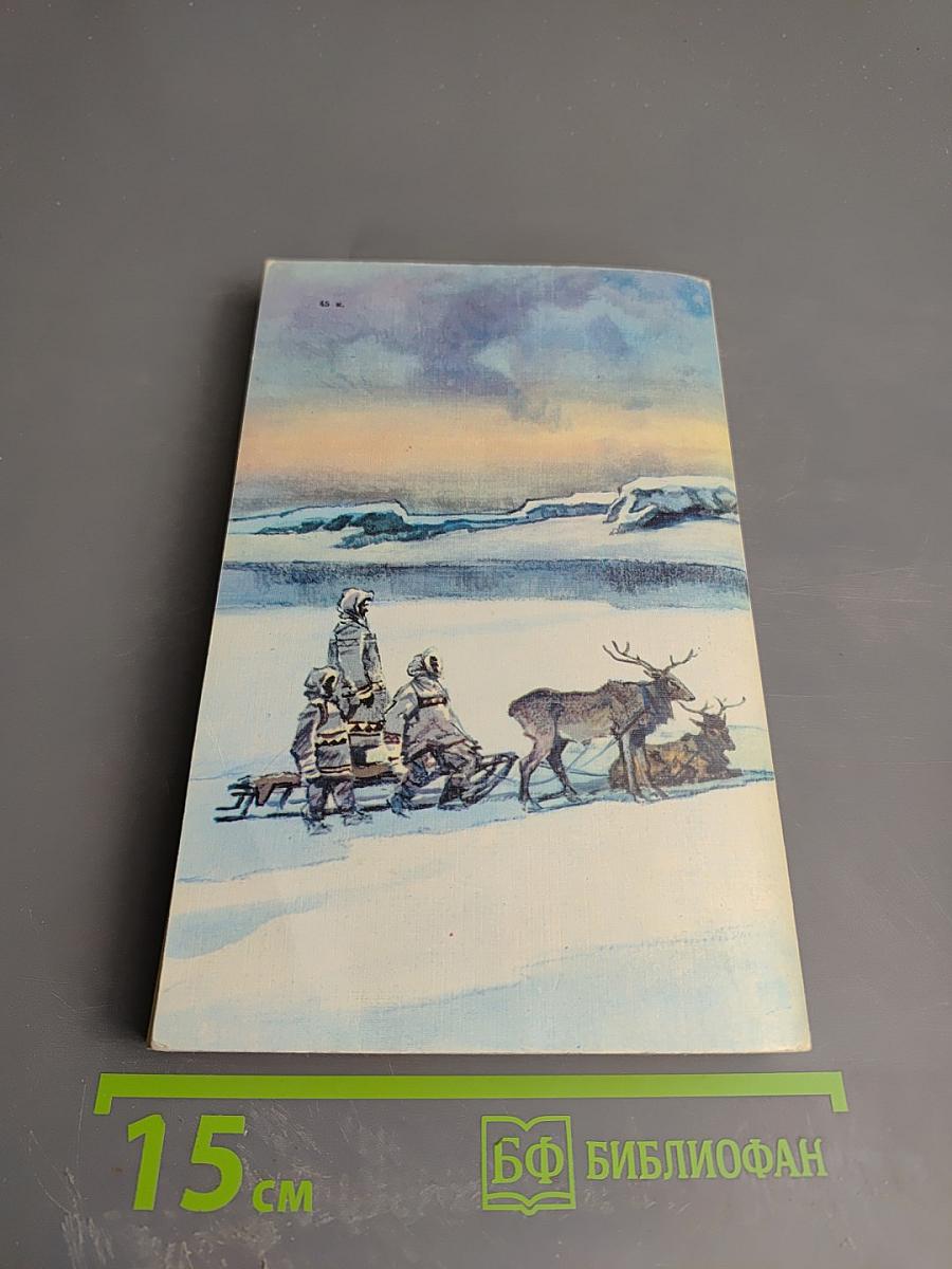 Два капитана. Книга вторая