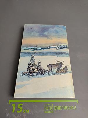 Два капитана. Книга вторая