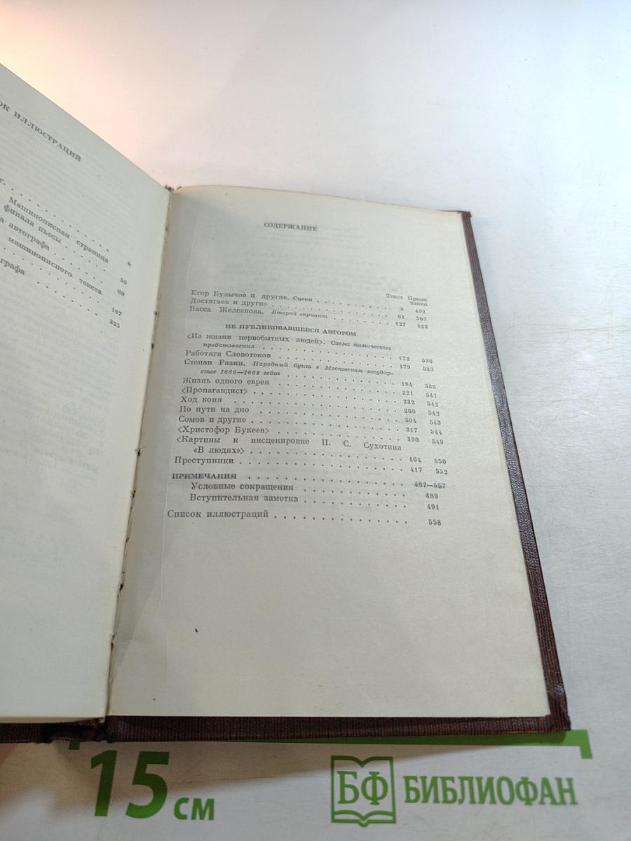 Полное собрание сочинений. Том девятнадцатый. Пьесы, сценарии, драматические наброски 1917-1935