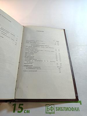 Полное собрание сочинений. Том девятнадцатый. Пьесы, сценарии, драматические наброски 1917-1935