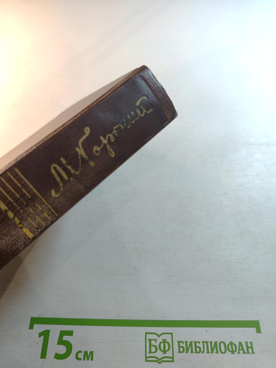 Полное собрание сочинений. Том девятнадцатый. Пьесы, сценарии, драматические наброски 1917-1935