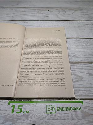 Геофизика Луны