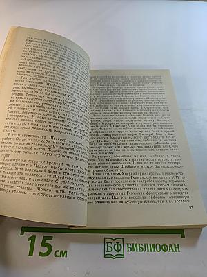 Альберт Швейцер. Картина жизни