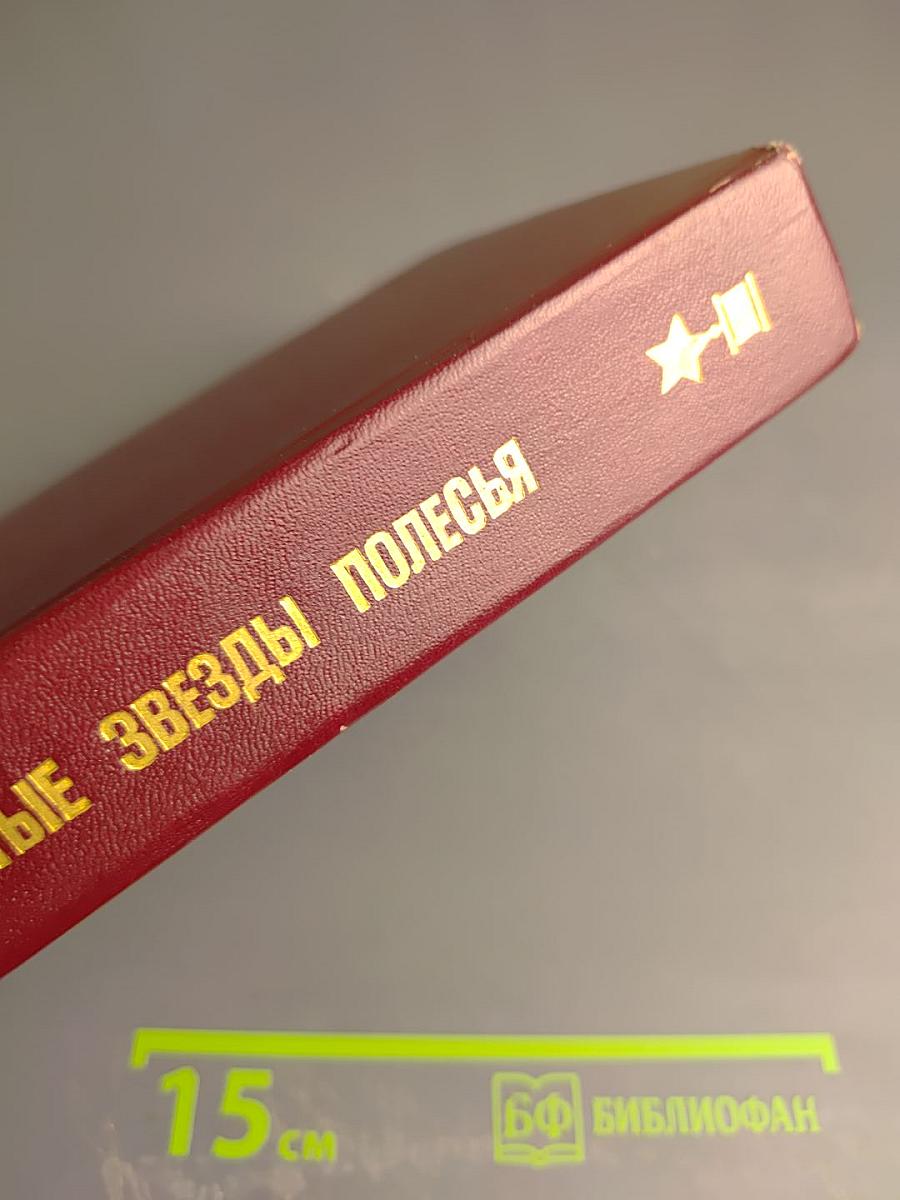 Золотые звезды Полесья