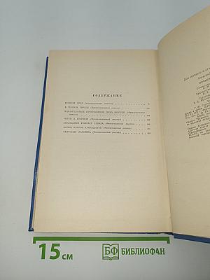 Ночной орел