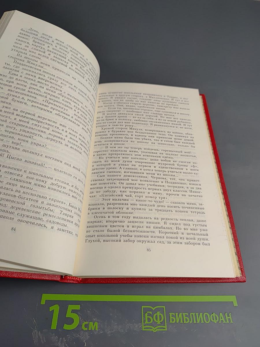 Дворы, переулки и весь мир