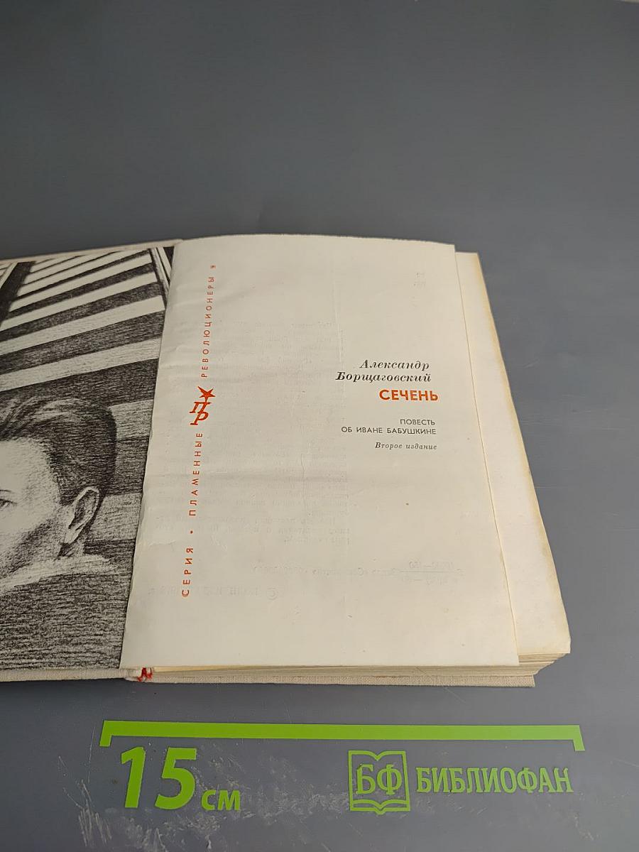 Сечень. Повесть об Иване Бабушкине