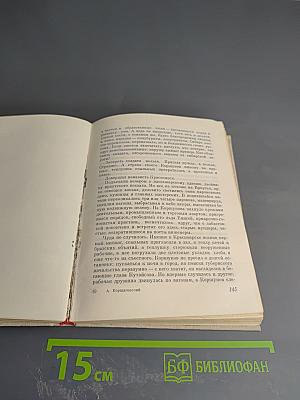 Сечень. Повесть об Иване Бабушкине