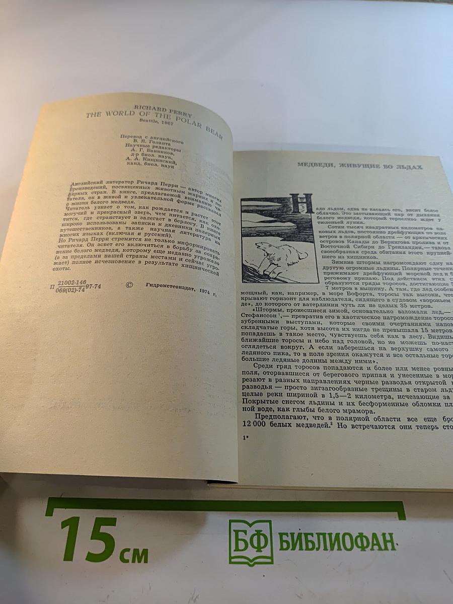 Мир белого медведя