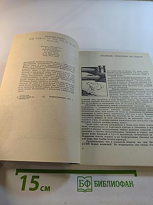 Мир белого медведя