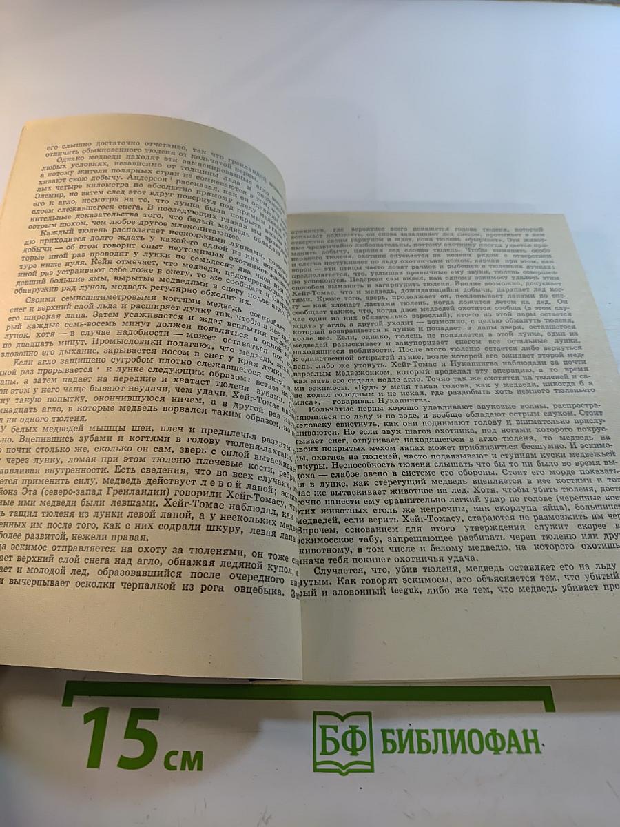 Мир белого медведя