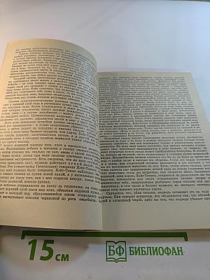 Мир белого медведя