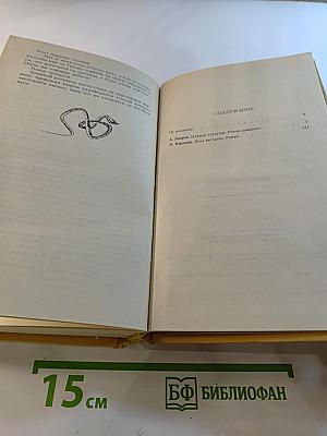 Царица хунхузов. Роман-дайджест